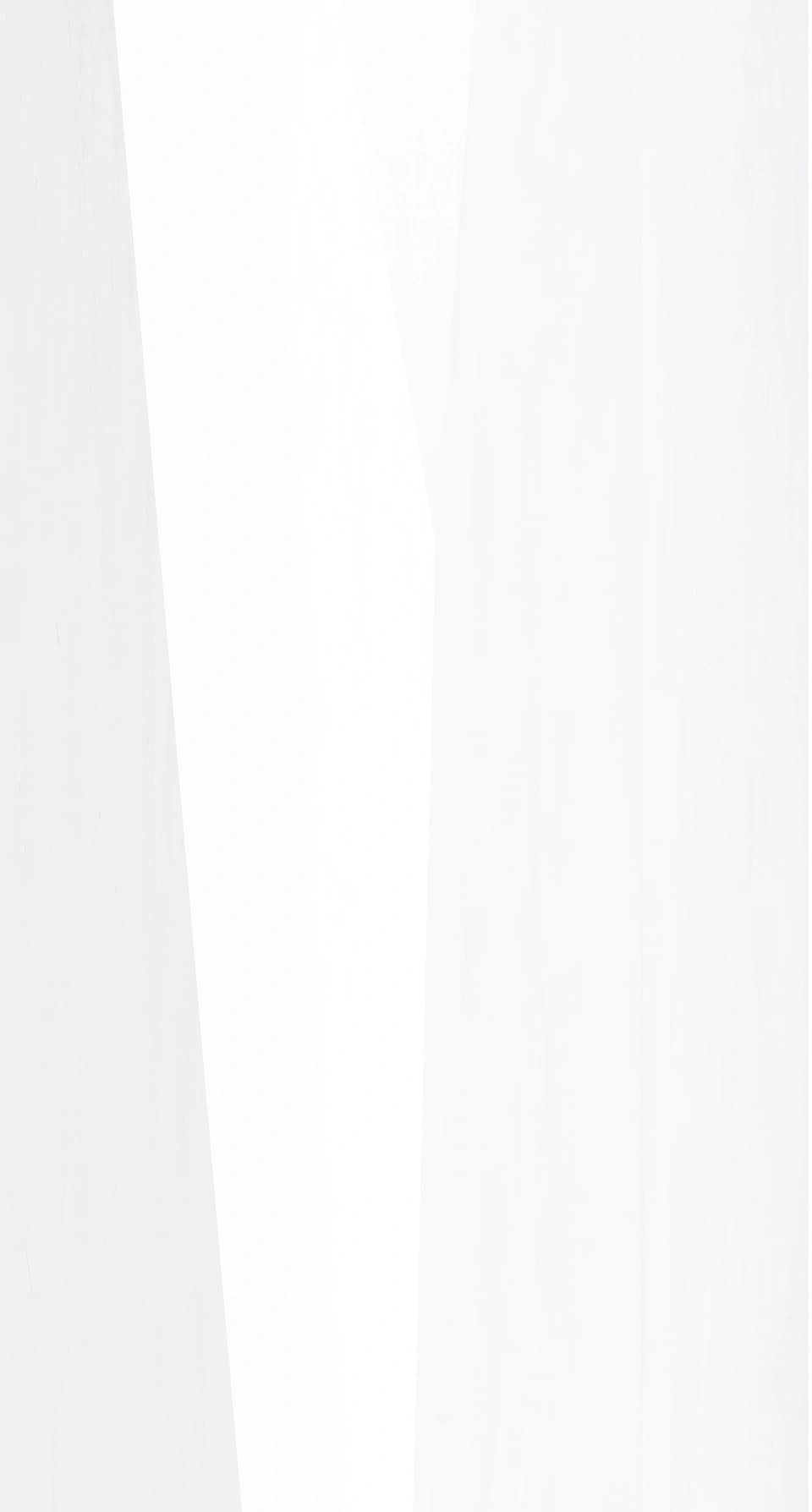 section2 bg